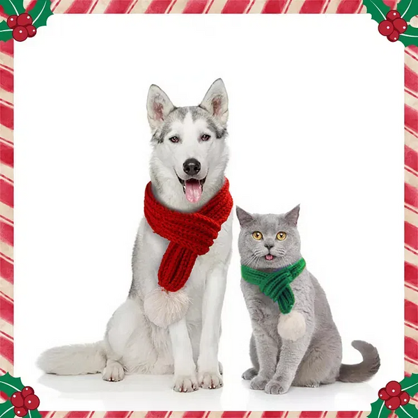 Merry Christmas Pet Knitted Scarf